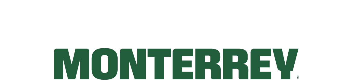 FIFA Fan Festival™ Monterrey 2026